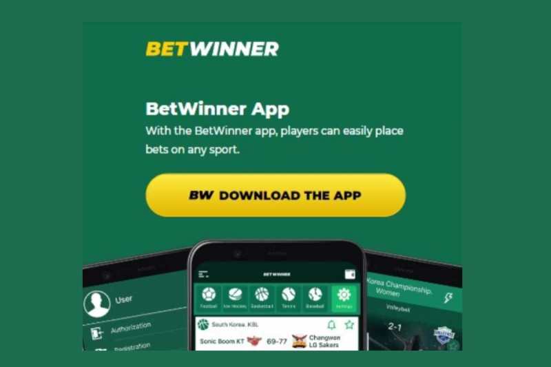 What You Should Have Asked Your Teachers About betwinner