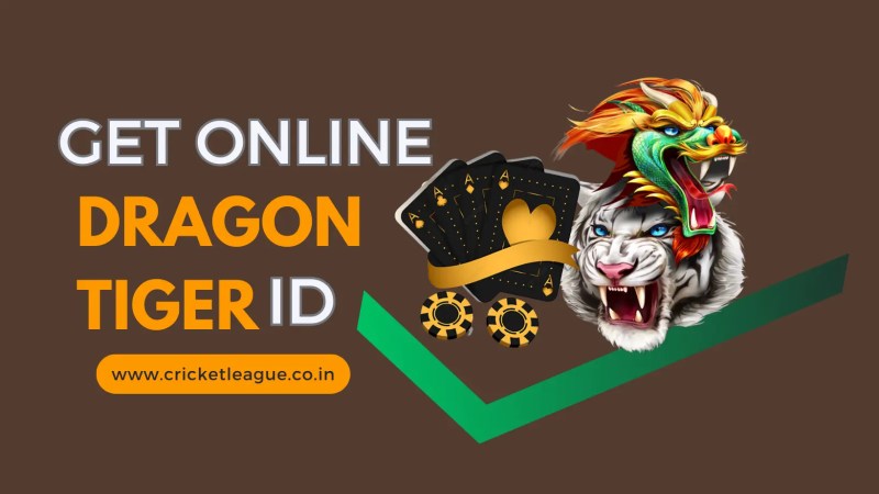 Tiger Exch 247.com