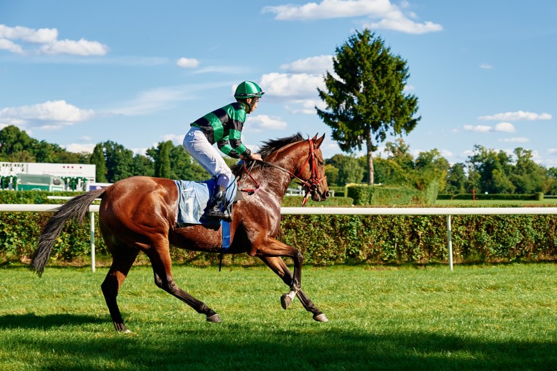 Bet On Indian Horse Racing With Racebets Casino