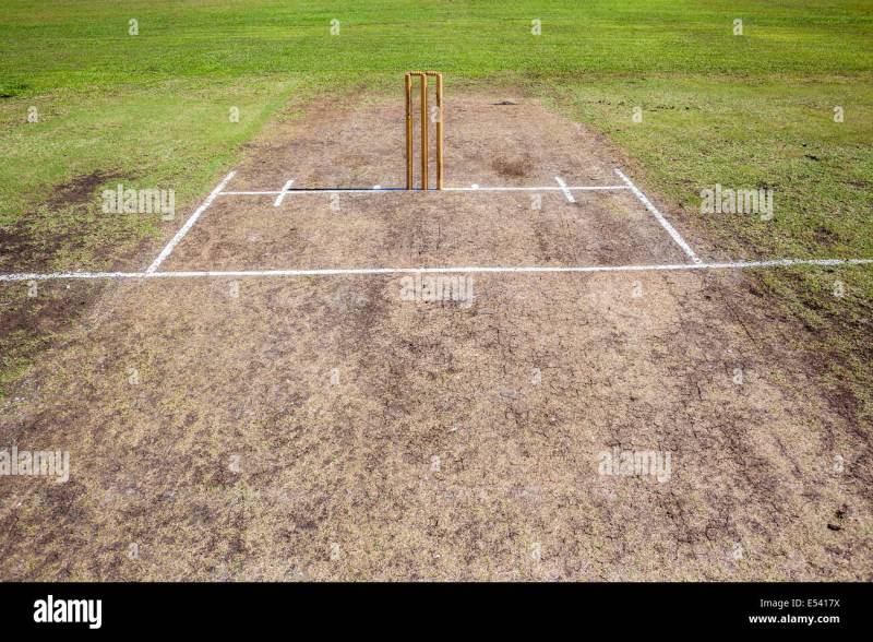 Cricket Pitch
