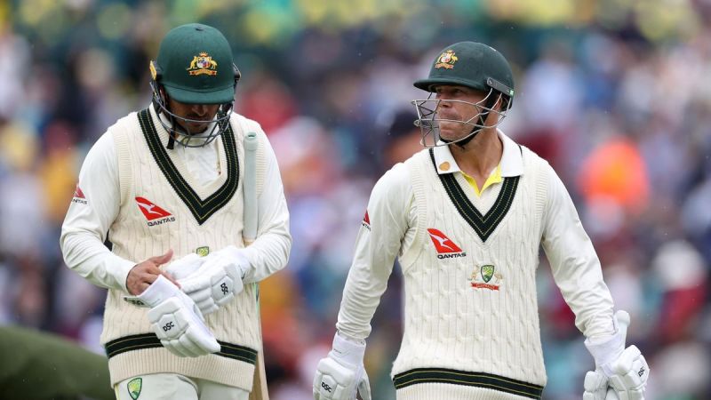Cricket Test