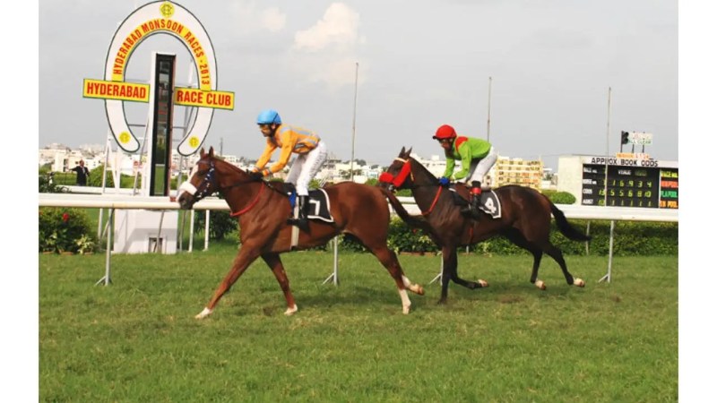 Racebets – The Perfect Place For Horse Racing Fans And Bettors!