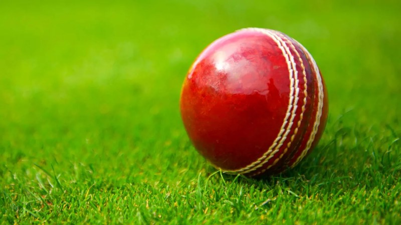 Real Cricket Ball
